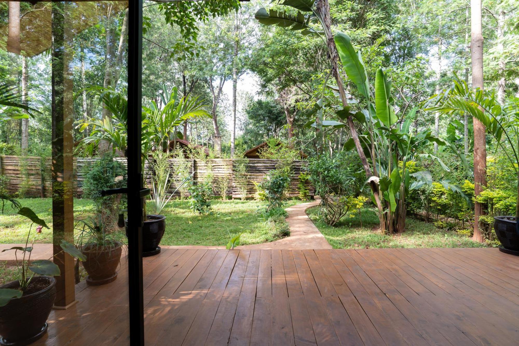 나이로비 The Jungle Oasis With Heated Pool 아파트 외부 사진
